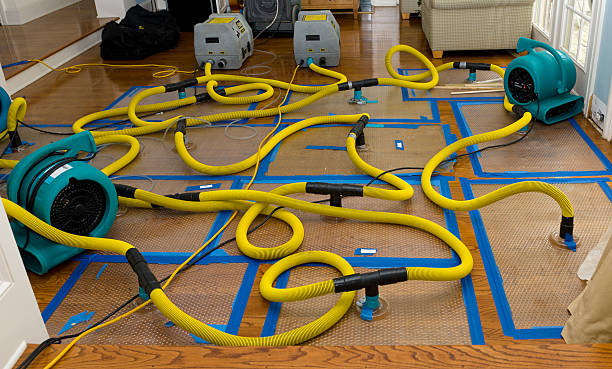 Professional Crawl Space Water Removal technician working in Middleport, OH